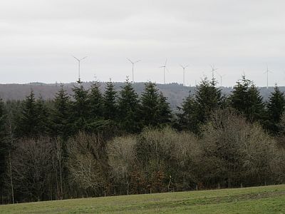 windraeder-mehringer-wald