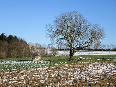 hinkelstein-bei-thomm