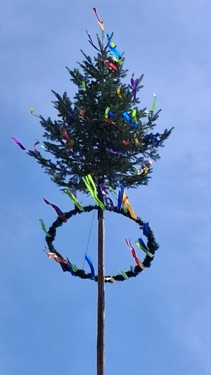 Maibaum
