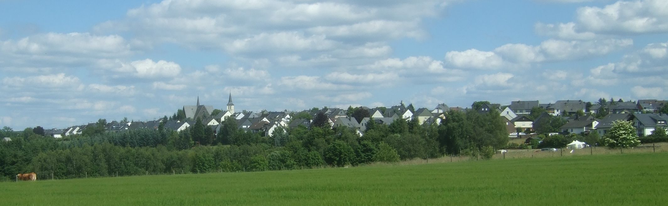 Thomm, Foto Thomm, Foto
