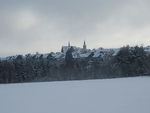 Thomm im Schnee